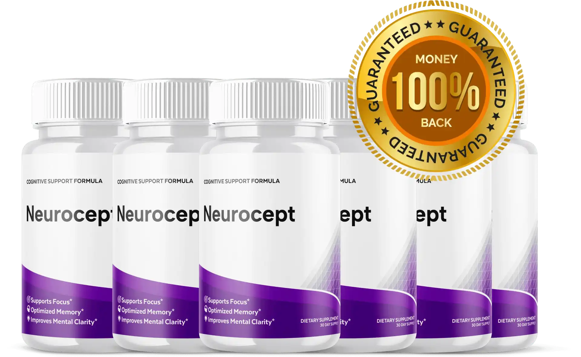 Neurocept banner image